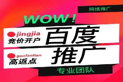 SEM代运营案例：助力企业实现线上转型